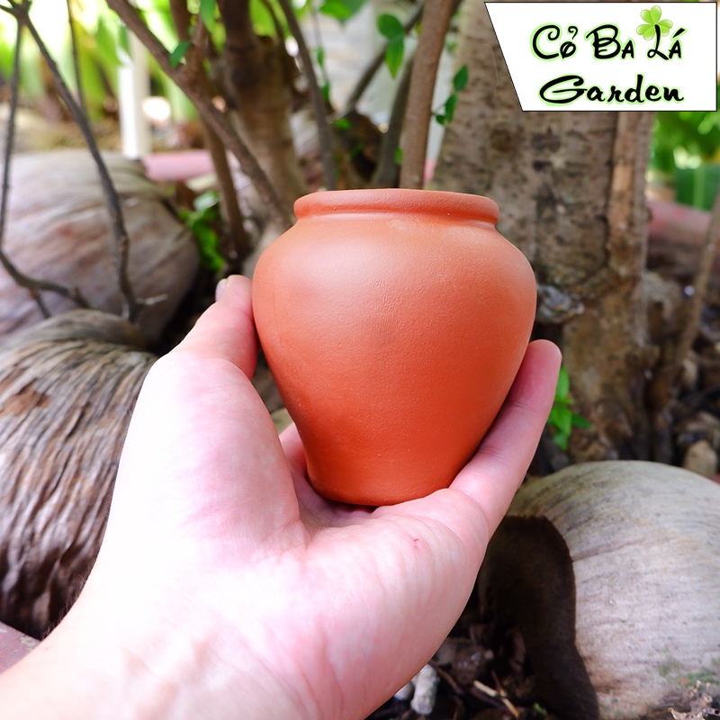 Chậu cây mini hình Lu Cao đất nung