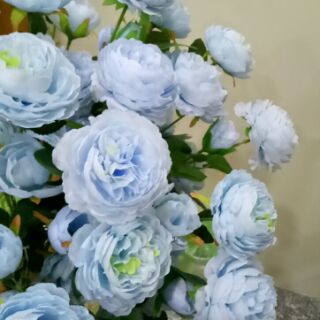 Hoa đủ mau