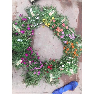 1kg 10h thái kép 11màu(phân màu riêng)