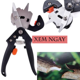 Kéo cắt tỉa cành cây trên cao 5m giật dây - số lượng 2