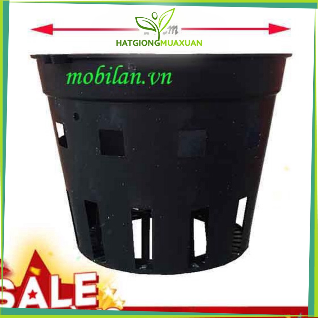 [HOT] Chậu nhựa trồng lan phi 14( combo 10 chậu) c/lượng, hg C/ty.