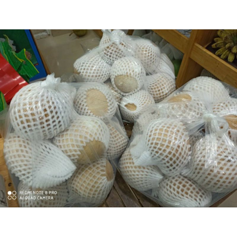 Dừa xiêm big size, set 12 trái( giao liền 1h) | BigBuy360 - bigbuy360.vn