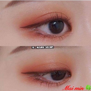 BẢNG PHẤN MẮT NOVO 9 Ô