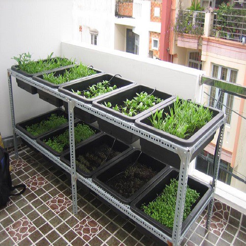 Kệ Sắt Trồng Rau Thông Minh 2 Tầng Trồng Rau Kích Cỡ 67x43x15 Cm -