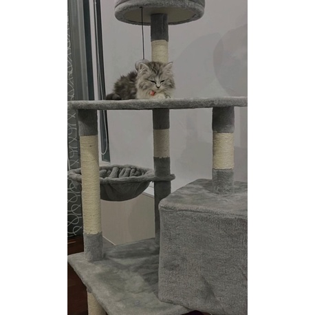 Cattree cho mèo, cây cào móng nhà cào móng cho mèo BECHON