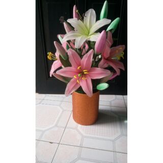 Bình hoa ly ly trắng hồng để bàn 6 bông cắm tròn đều các mặt