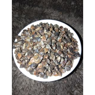 Hạt ba khía 100gr dành cho hamster ❤