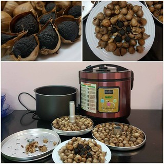 Máy làm tỏi đen Nikio NK-688