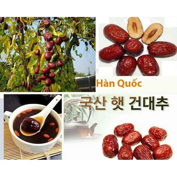 Táo Đỏ Sấy Khô Hàn Quốc Boeun Loess Jujube 1kg hộp vàng date 2023 (quà biếu sang chảnh) | BigBuy360 - bigbuy360.vn