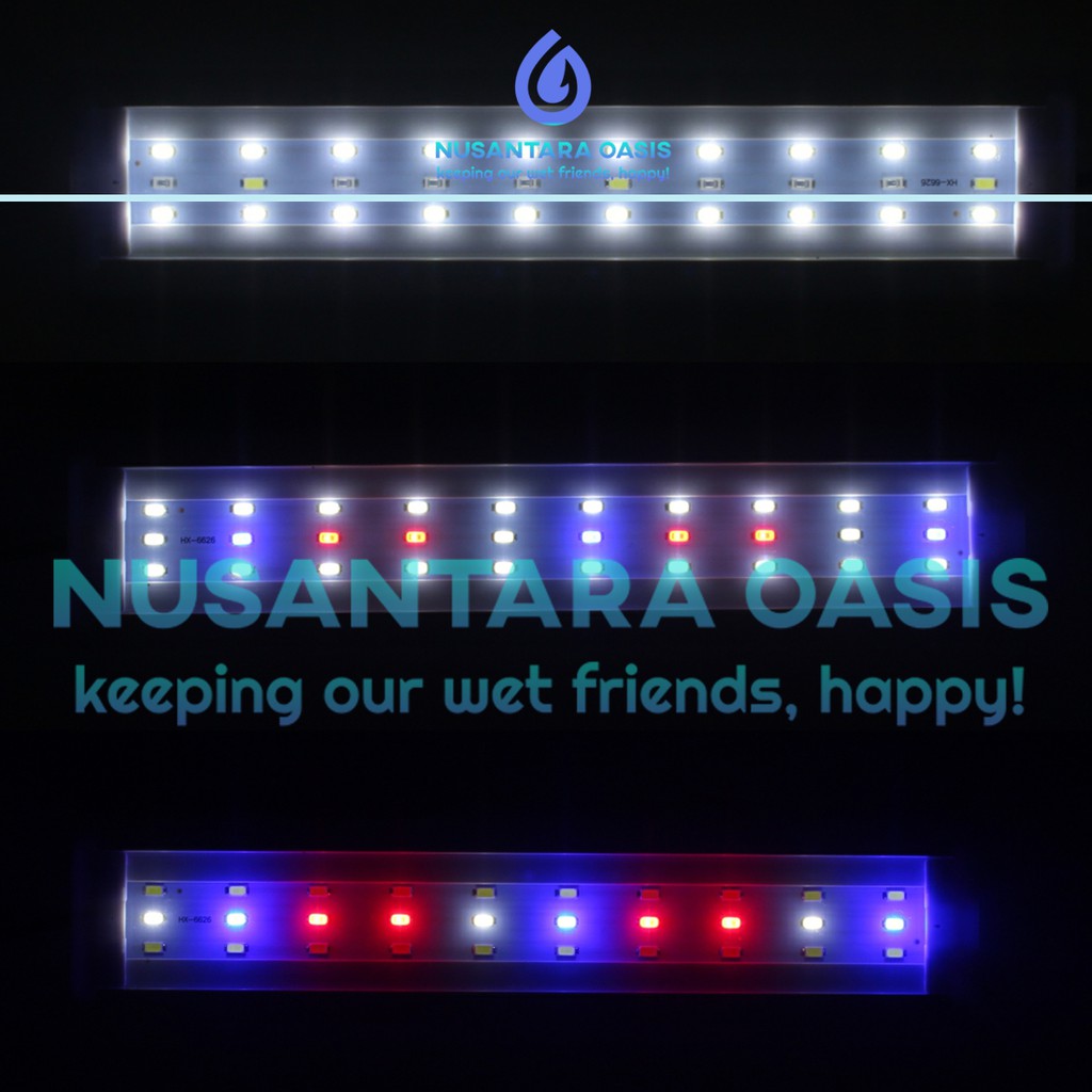 ZIN QUA SỬ DỤNG   Đèn Led 3 Chế Độ Cho Bể Cá Aa Pa 400 11 Watt 30 CM - 45 CM - 60CM 60 CM
