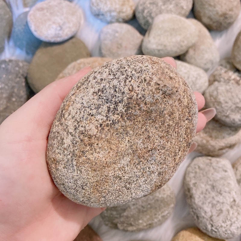 Đá nhám tắm kỳ ghét, tẩy da chết (100% tự nhiên) | BigBuy360 - bigbuy360.vn