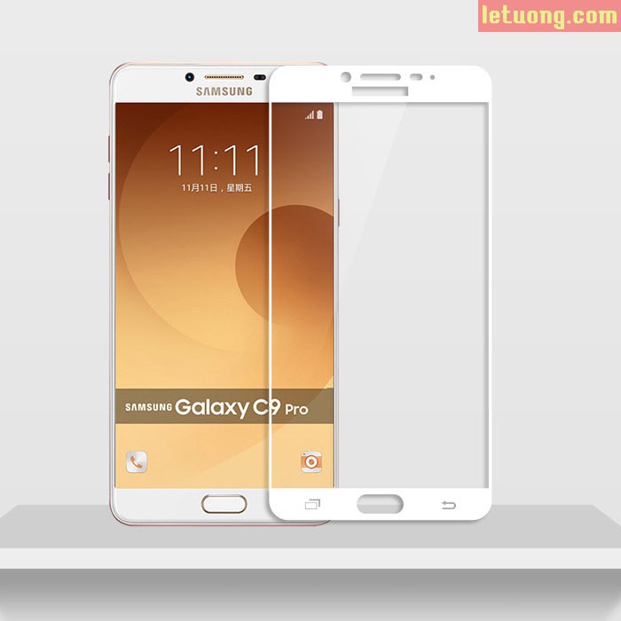 Kính cường lực Full màn cho C9 Pro