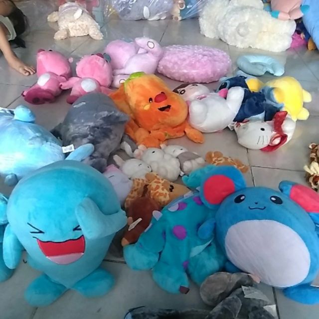 Gấu của Hương Bùi