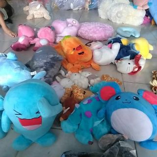 Gấu của hương bùi