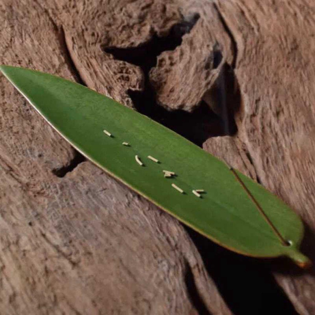 YIYU Giá Đỡ Nhang Trầm Hương Hình Chiếc Lá Bằng Gốm Sứ