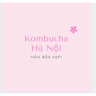 Nấm sữa kefir-kombucha Hà Nội