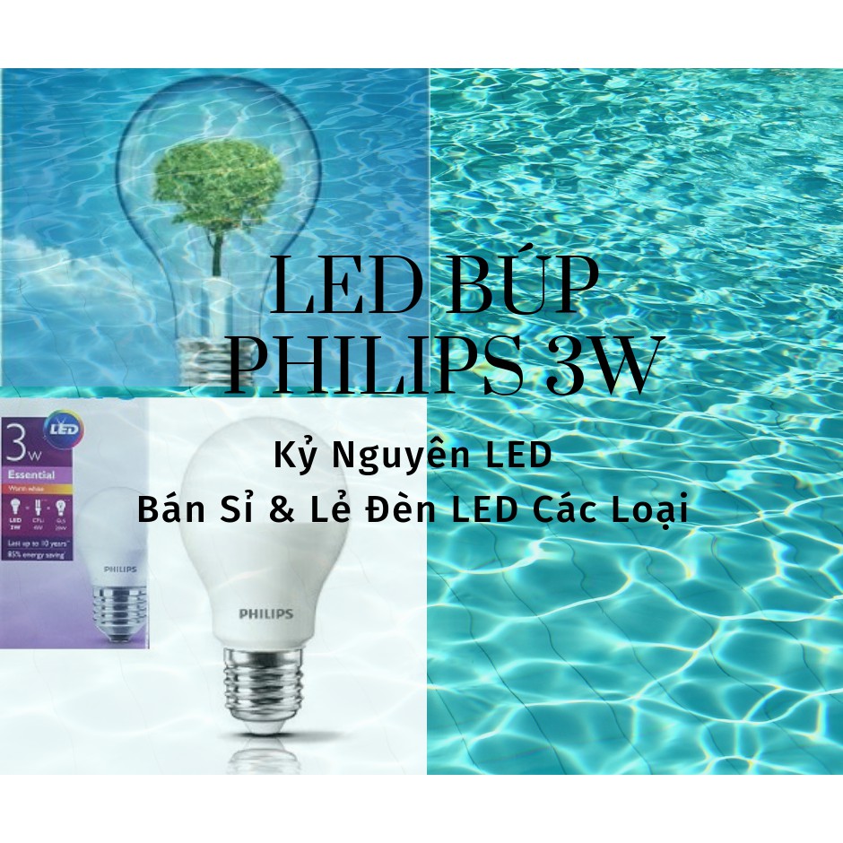 Combo 5 Đèn Led Búp Philips 3w Essential Trắng/Vàng