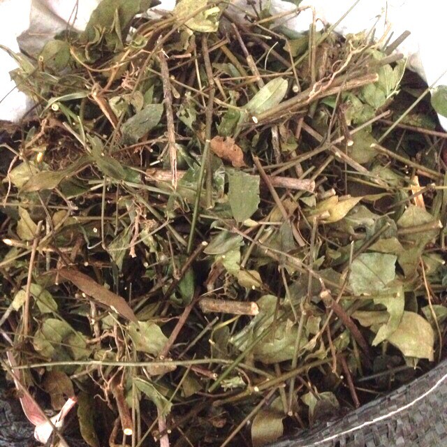 Lá chè vằng giảm cân lợi sữa khô 1 kg