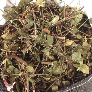 Chè vằng khô