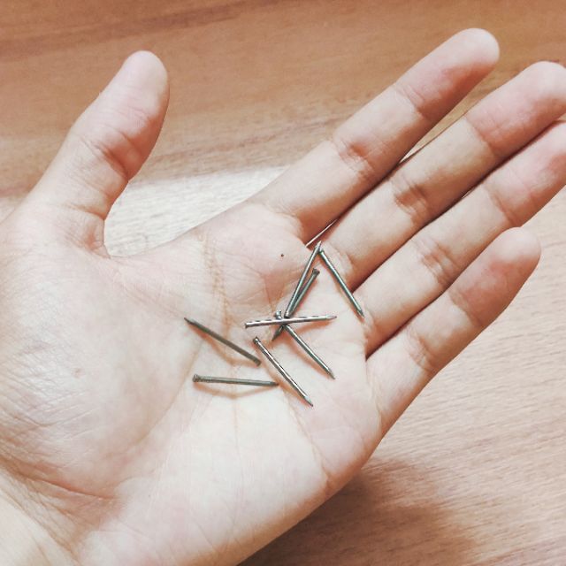 [Bán theo 100g] Đinh chỉ đóng gỗ đầu nhỏ (không đầu) 2cm và 3cm
