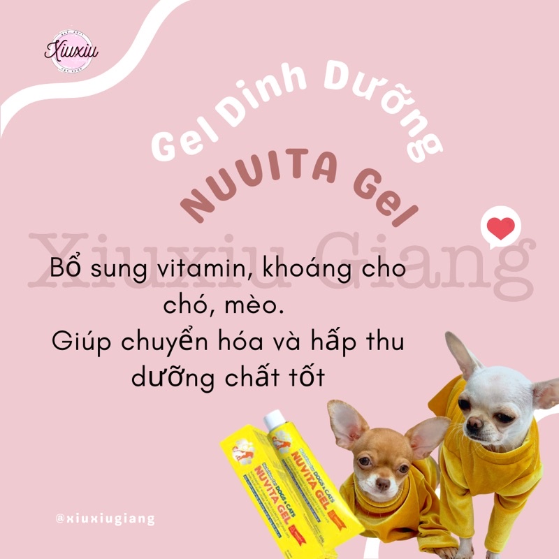 GEL DINH DƯỠNG NUVITA 120G - Xiuxiu Giang