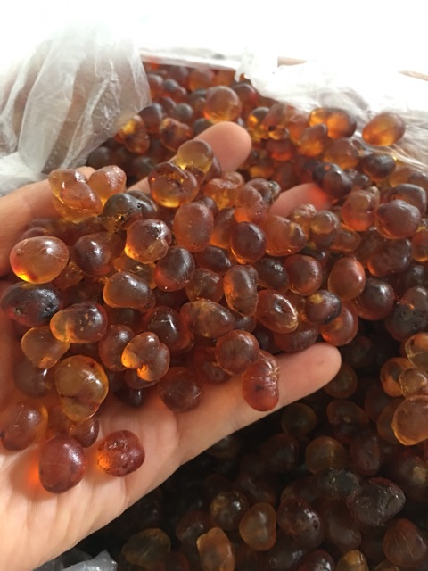 500g nhựa đào Vân Nam loại thượng đẳng như hình