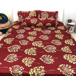 Bộ drap thun Hàn Quốc