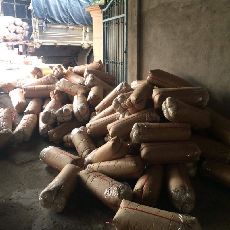 COMBO 2 KG BÔNG GÒN TỰ NHIÊN 100%