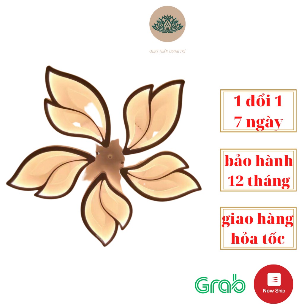 Đèn Ốp Trần Trang Trí Hiện Đại DTV2, Đèn Trang Trí Phòng Khách/Phòng Ngủ Hình Lá