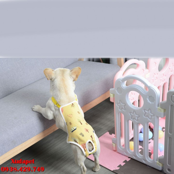 Yếm Quần Sinh Lý Cho Chó Cái Trong Những Ngày Kinh Nguyệt Ngừa Mang Thai ngăn chó cái giao phối - Xudapet - SP005227