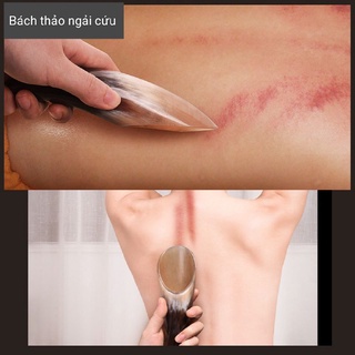 Dụng cụ cạo gió bấm huyệt chuyên dụng bằng sừng