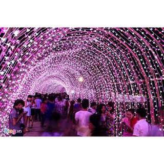 Đèn Led Dây Chớp Nháy - Dây 5m
