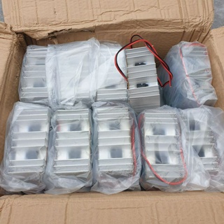 Mạch Siêu Trầm 12V - 150W