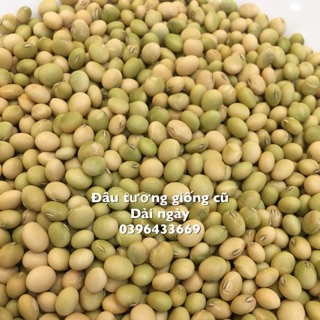 Đỗ tương giống cũ