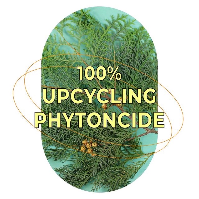 Sữa rửa mặt nhẹ nhàng KLAVUU Phytoncide Mild Cleansing Foam 3ml