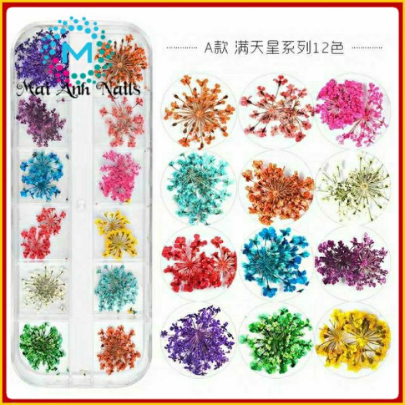 Hoa Khô Set 12 ô Siêu Rẻ