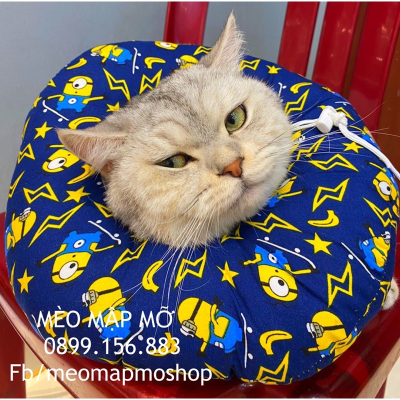 VÒNG GỐI CHỐNG LIẾM CHÓ MÈO
