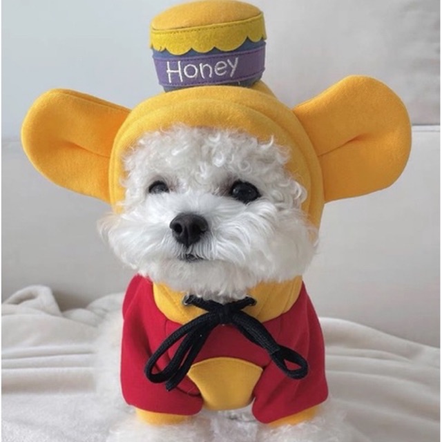 Áo nỉ hoodie cho chó mèo có mũ honey