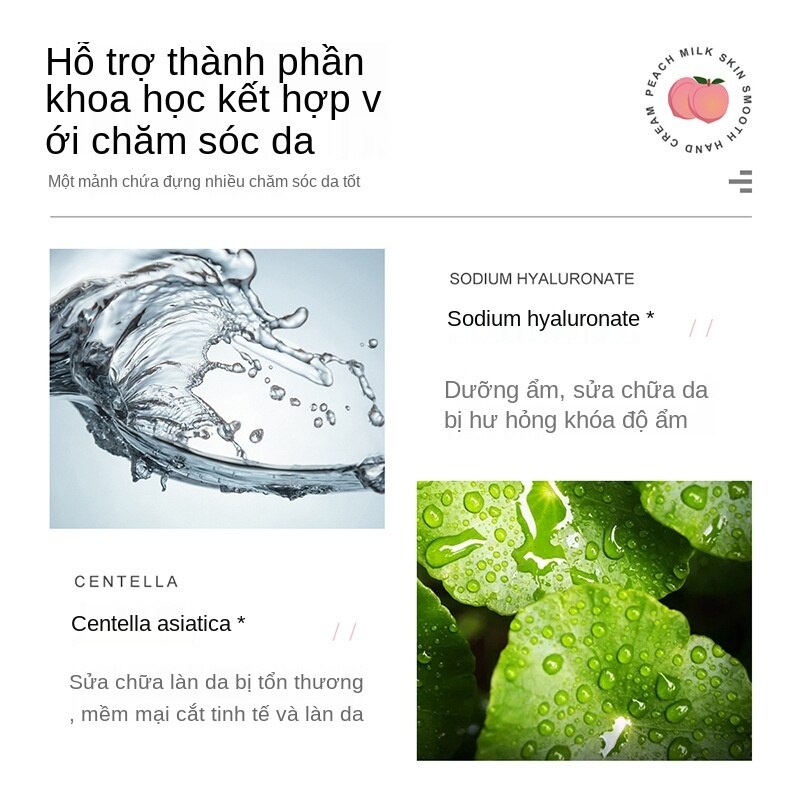 [Hàng mới về] Dòng Mặt Nạ Bioaqua Chiết Xuất Từ Trái Đào Và Vi Khuẩn Axit Lactic Dưỡng Ẩm Hiệu Quả | BigBuy360 - bigbuy360.vn