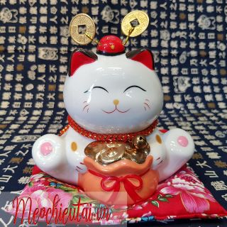 Mèo chiêu tài may mắn "TỤ BẢO BỒN" cao 15cm