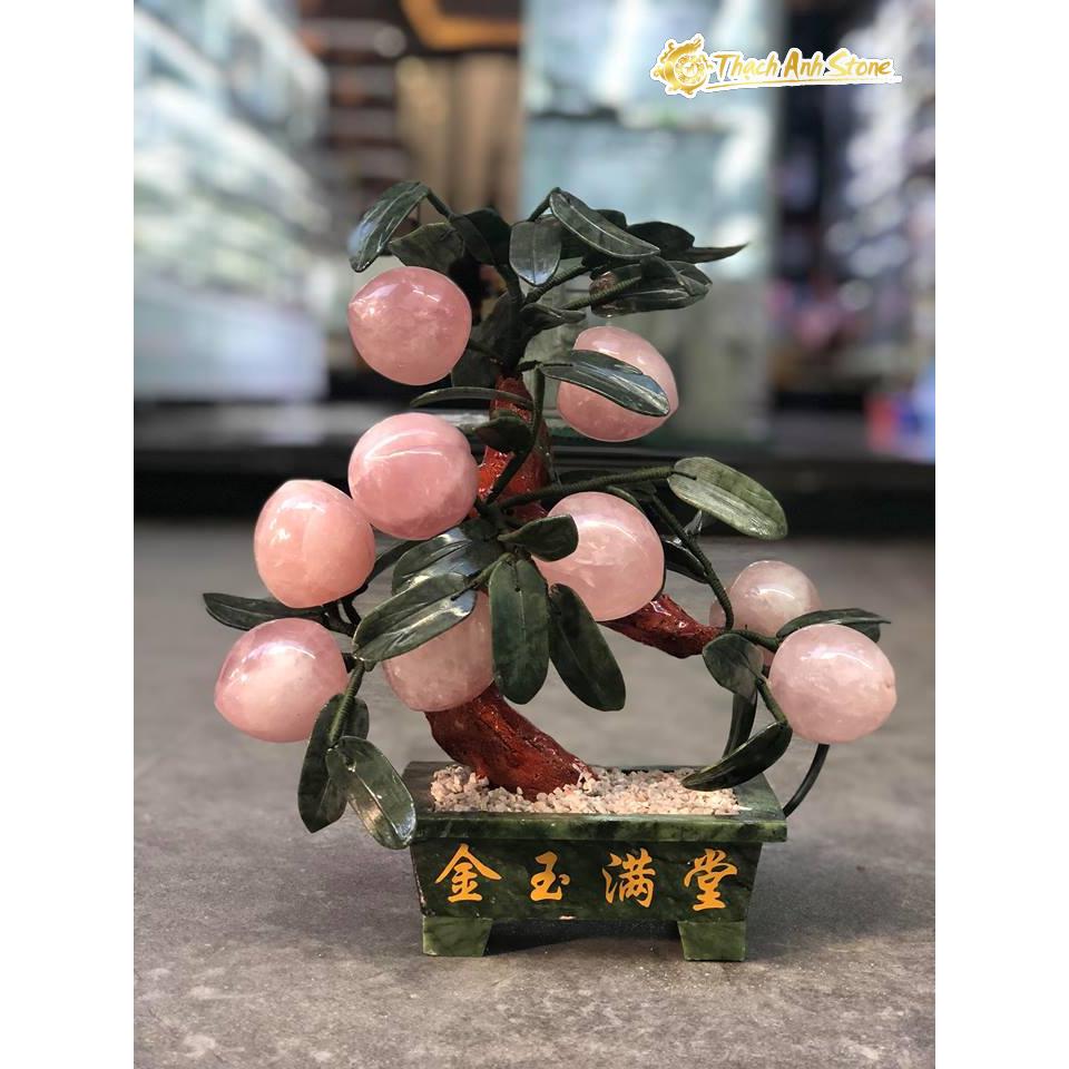 Cây đào tài lộc 9 quả