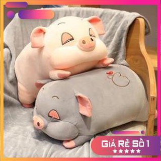 Bộ Chăn Gối Heo Papa Fhome