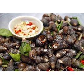 Ốc vặn tươi sống 500g