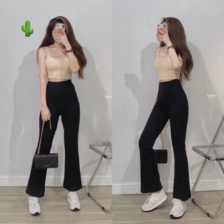 Quần dáng dài trơn ống loe xinh basic hot hit PC50