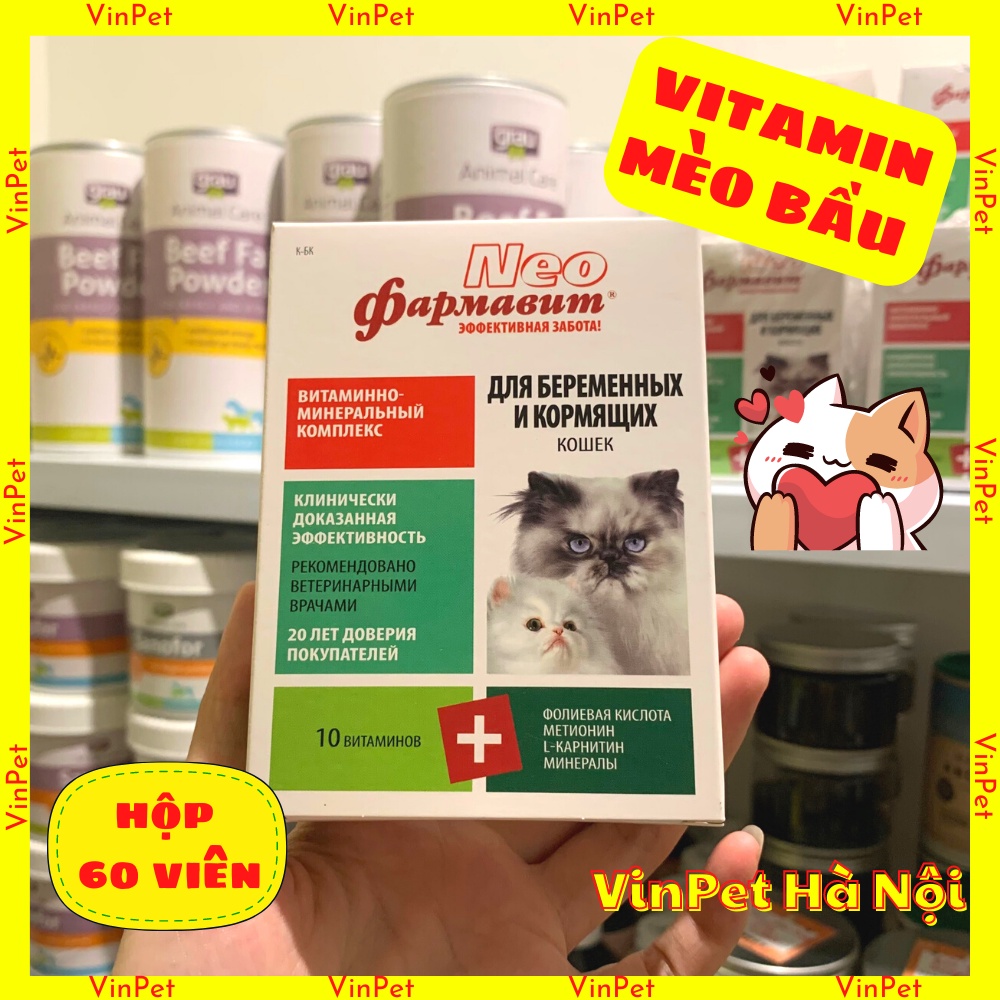 Vitamin cho mèo bầu và mèo cho con bú nhập Nga