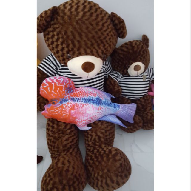 Gấu Teddy 1m8