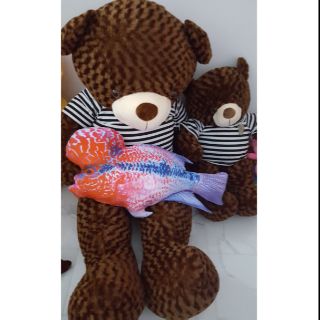 Gấu teddy 1m8