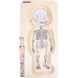Bộ ghép hình Multilayer Puzzles – Your Bodies (Little Boy)