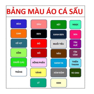Áo thun NỮ Cao Cấp co giãn 4 chiều
