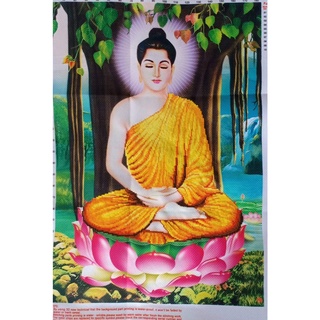 Tranh thêu chữ thập Phật thích ca A1131 (chưa thêu)